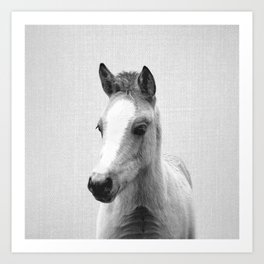 Baby Horse - Black & White Art Print