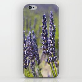 Lovely Lavender iPhone Skin