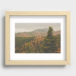 Evergreen Fall (Asheville, North Carolina, USA) Recessed Framed Print