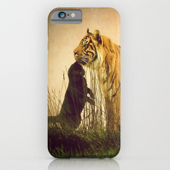 Cats iPhone & iPod Case