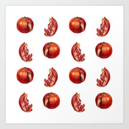 Playful Pomegranates Art Print
