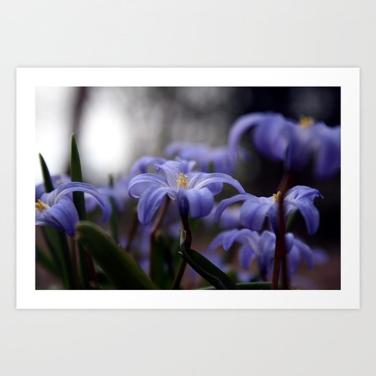 Purple Art Print