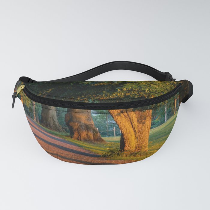 Dawn Stockholm Fanny Pack