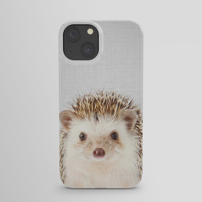 Hedgehog - Colorful iPhone Case