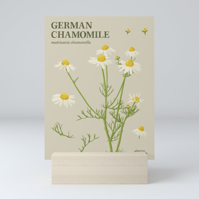 Botanical German Chamomile Mini Art Print