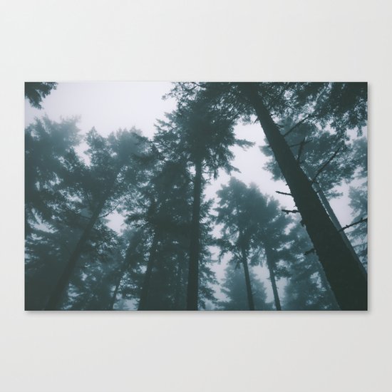 Forest XIII Canvas Print