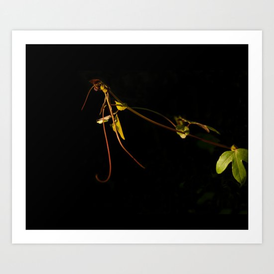 Leaving home Art Print