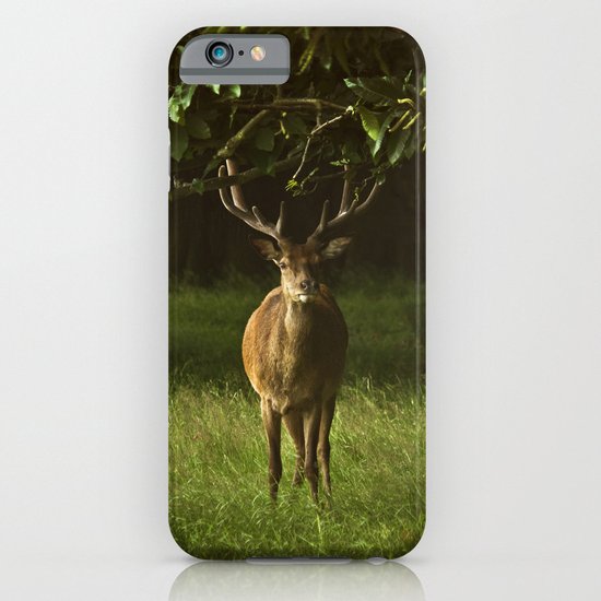 Deer iPhone & iPod Case