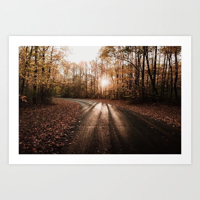 Sunlight Through Autumn Trees Art Print