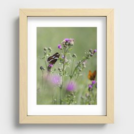 Butterfly in focus Recessed Framed Print