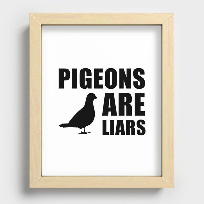 Pigeons Are Liars Recessed Framed Print