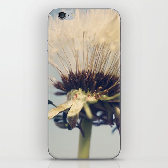 Skyduster iPhone & iPod Skin