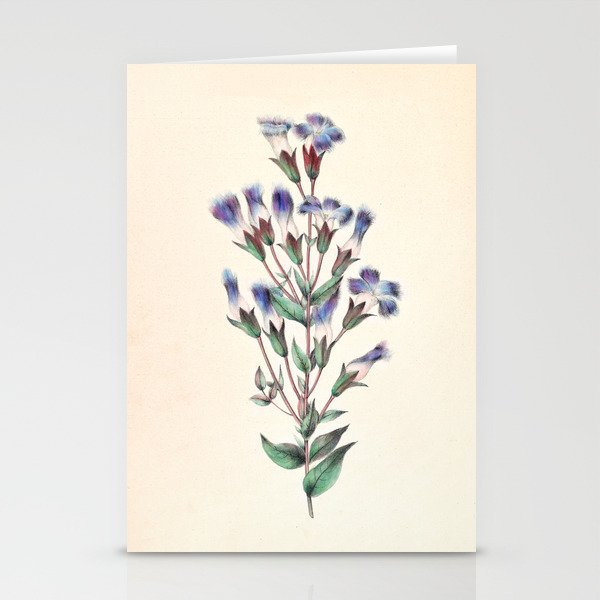  Fringed gentian by Clarissa Munger Badger, 1859 (benefitting The Nature Conservancy) Stationery Cards