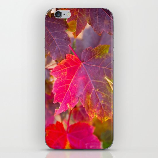 Fall Party iPhone & iPod Skin