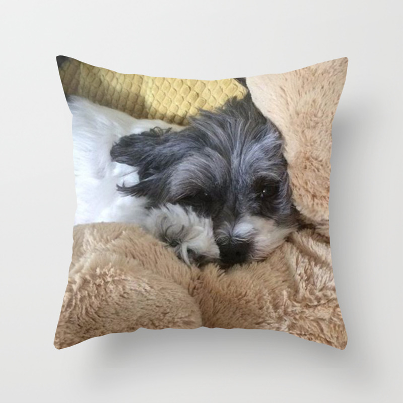 throw pillows are the stuffed animals
