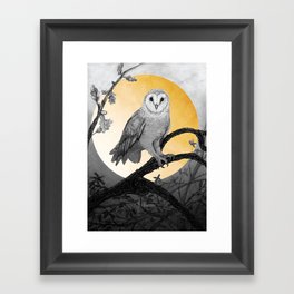 Golden Owl Framed Art Print
