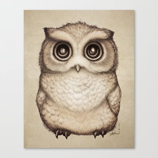 "The Little Owl" by Amber Marine ~ Graphite & Ink Illustration, (c) 2016 Canvas Print