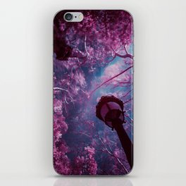 Fairy tale spring; cherry blossom tree canopy in the park at sunrise color magical realism portrait photograph / photography iPhone Skin