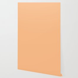 Apricot-Orange Wallpaper
