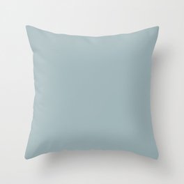 CLOUDS  Dusty Blue Color Throw Pillow