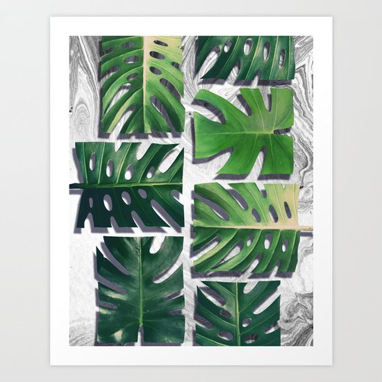 monstera deliciosa Art Print