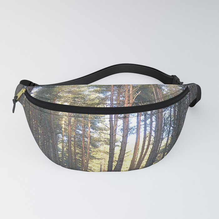 Scottish Highland Pine Forest Winter Sunlight Perspective Fanny Pack