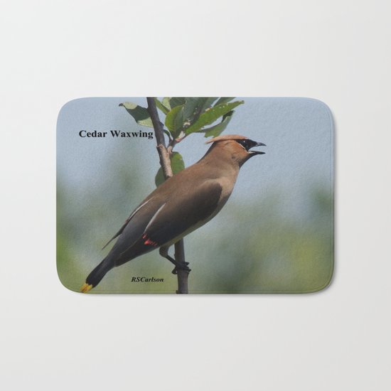 Cedar Waxwing at Hillsboro Pond Bath Mat