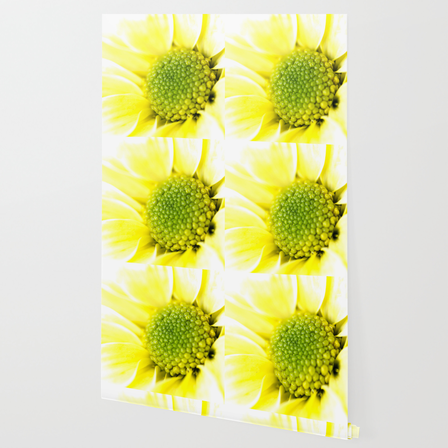 Yellow Daisy Macro Nature Photography Wallpaper By Ekphotoart