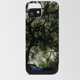 Under the tree canopy - Nature Photography - Art Print iPhone Card Case