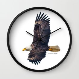 Majestic May Bald Eagle Wall Clock