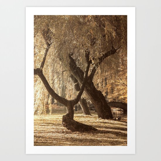 Golden branches Art Print