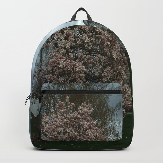 Ominous Clouds, White House Backpack