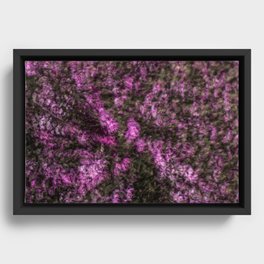 Abstract flowers Framed Canvas