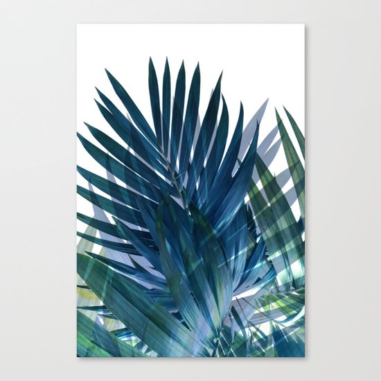 Palm Leaves Canvas Print