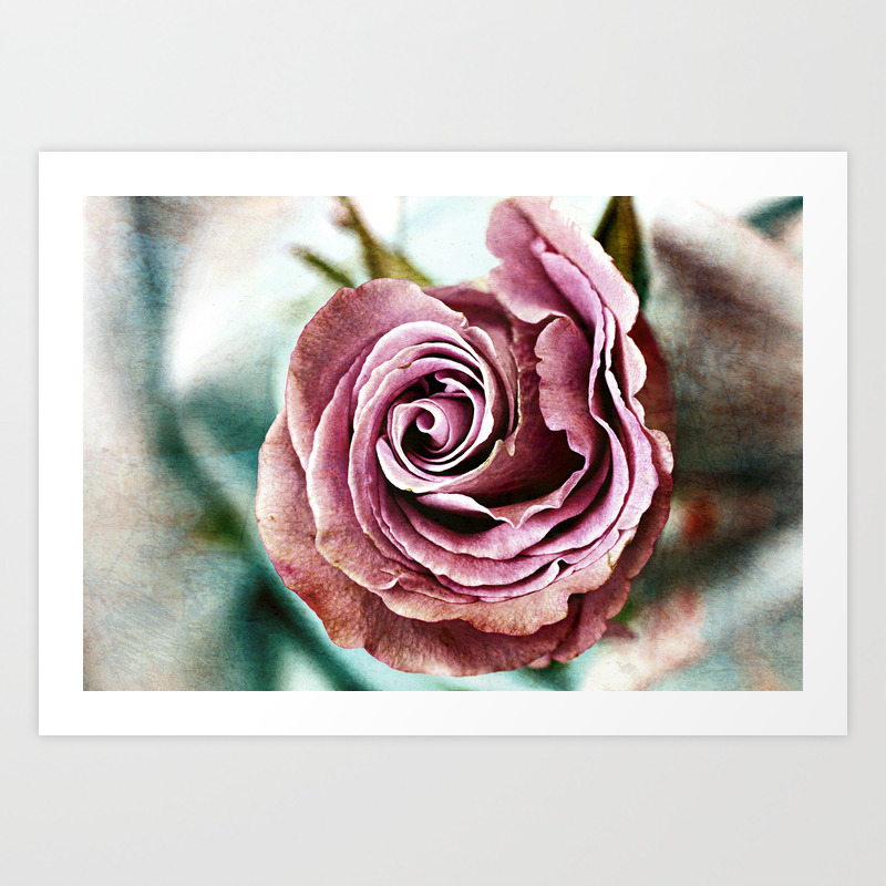 Gritty Vintage Dusty Pink Rose Art Print By Eveystudios Society6