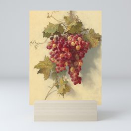 Grapes Against White Wall by Edwin Deakin Mini Art Print