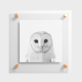 Owl Floating Acrylic Print