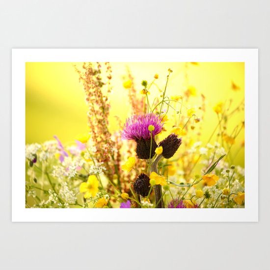 Colorful Wildflowers Art Print