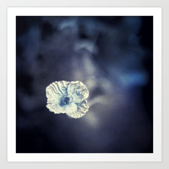 afloat Art Print