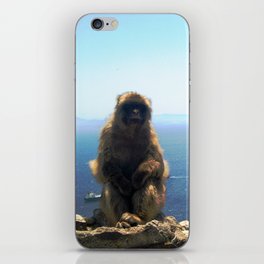 Monkey on Mt Gibraltar iPhone Skin