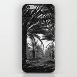  Date palms, Coachella Valley, California palm tree nature portrait tropical black and white photograph - photography - photographs iPhone Skin