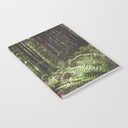 Woodland - Landscape and Nature Photography Notebook