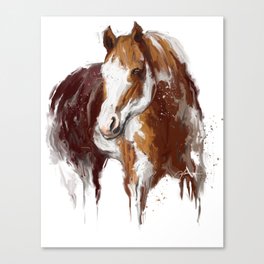Paint Horse. Canvas Print