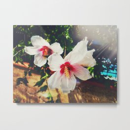 Tropical flower cayenne Metal Print