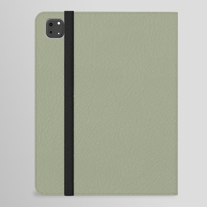 Medium Spring Green Gray Solid Color Pairs PPG Edamame PPG1030-4 - All One Single Shade Hue Colour iPad Folio Case