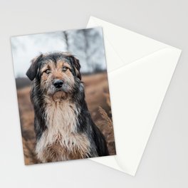 Beautiful Dog Stationery Card