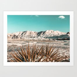 Vintage Mojave Mountains // Snowcapped Desert Landscape Cactus Plant Perspective Photograph Art Print