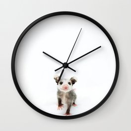 Baby Opossum Smile Wall Clock