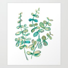 Eucalyptus Painting Art Print