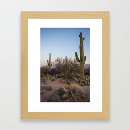 Saguaro Cactus Morning Framed Art Print